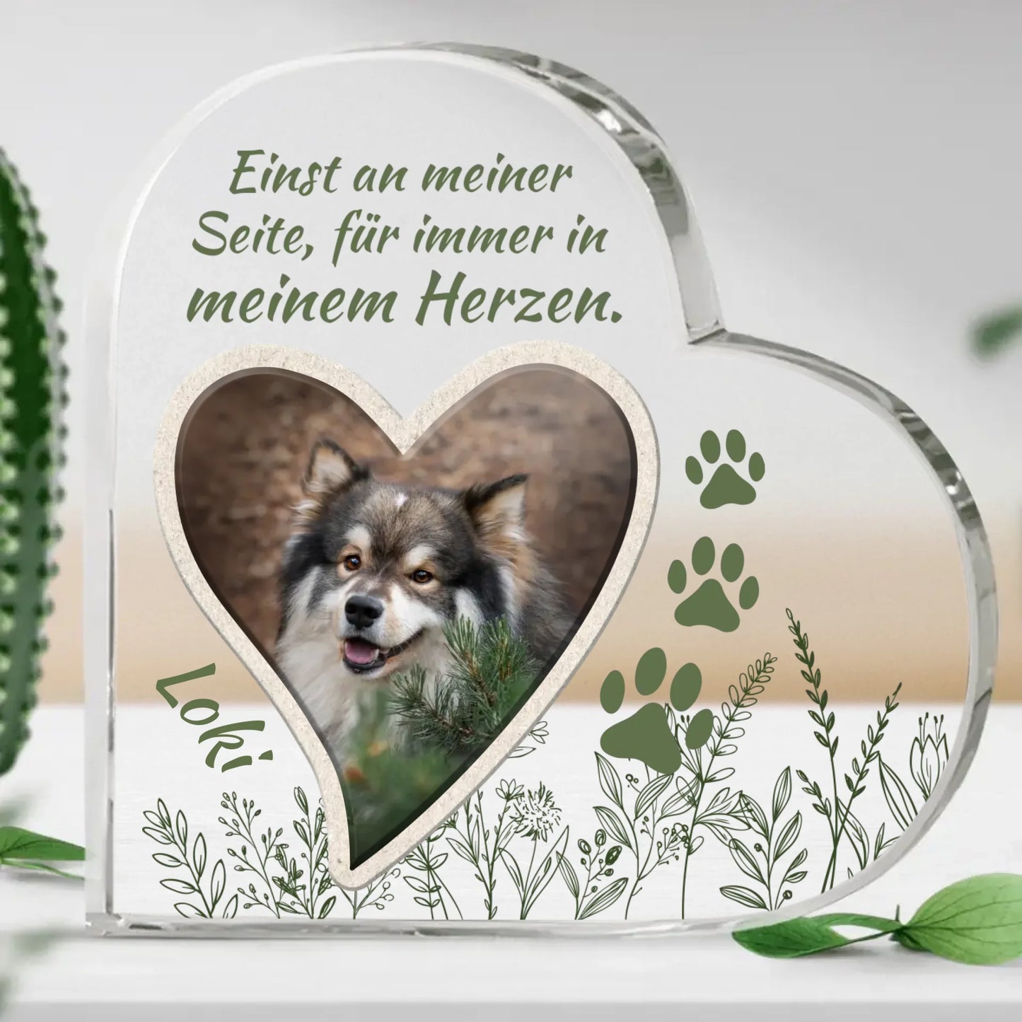 633fdf9cb7ff3_large.webp