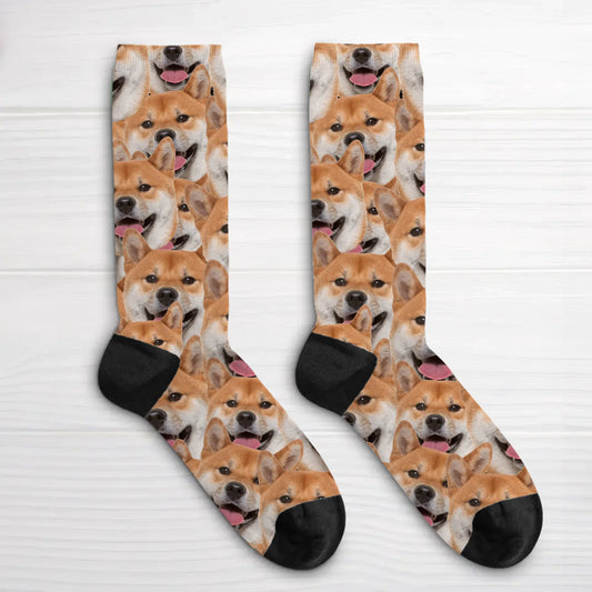 65685f099d3cf_large.webp