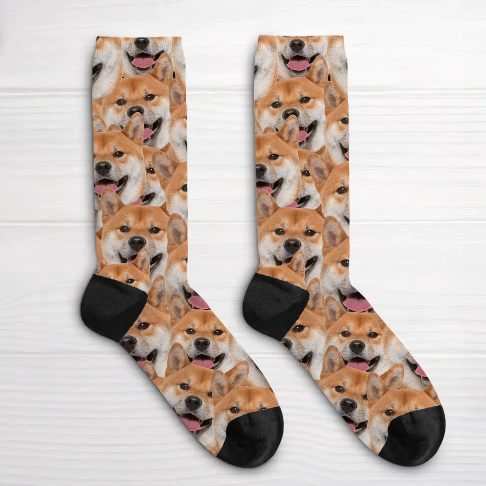 65685f099d3cf_large.webp