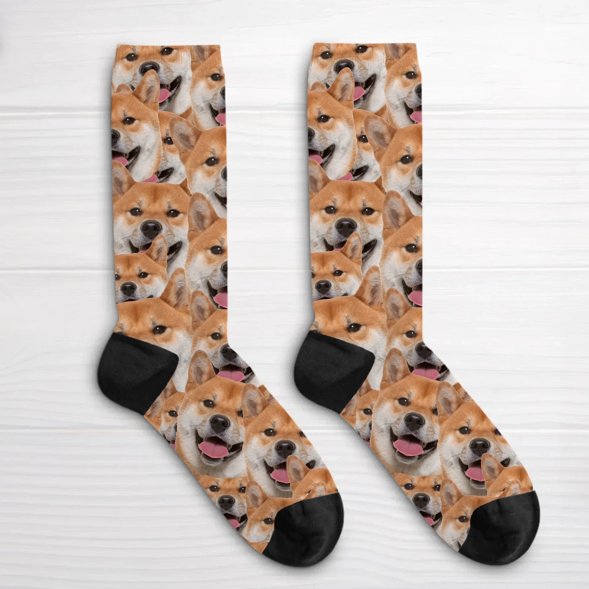 66e7eb2bf3c83_large.webp