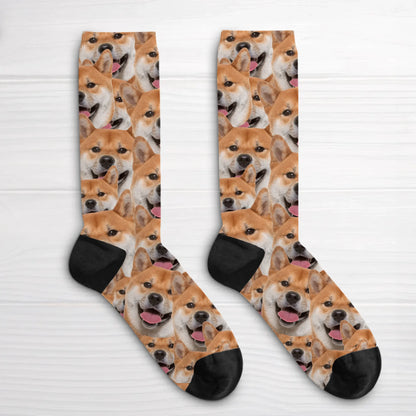 66e7eb2bf3c83_large.webp