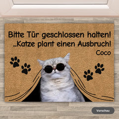 672ccc4322062_large